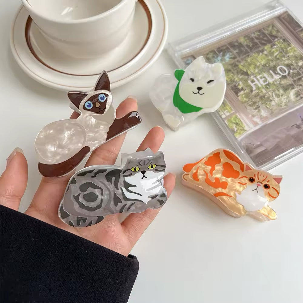 White and brown longhair cat clip with green eyes resting next to a book, styled for aesthetic flat lays