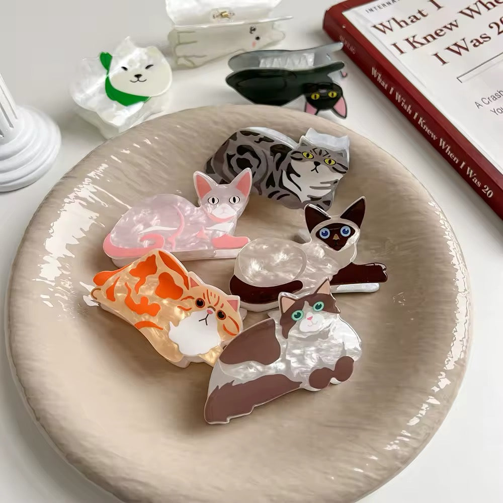 White and brown longhair cat clip with green eyes resting next to a book, styled for aesthetic flat lays